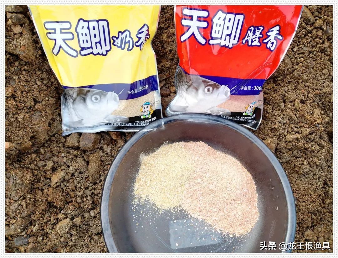 天鲫腥香评测,天鲫通杀钓鲫鱼