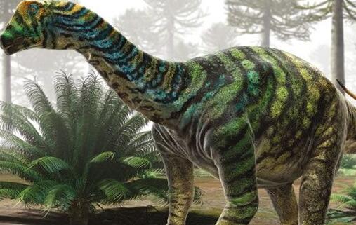 400种恐龙图片及恐龙名称,恐龙的种类分为几大类兽脚类恐龙