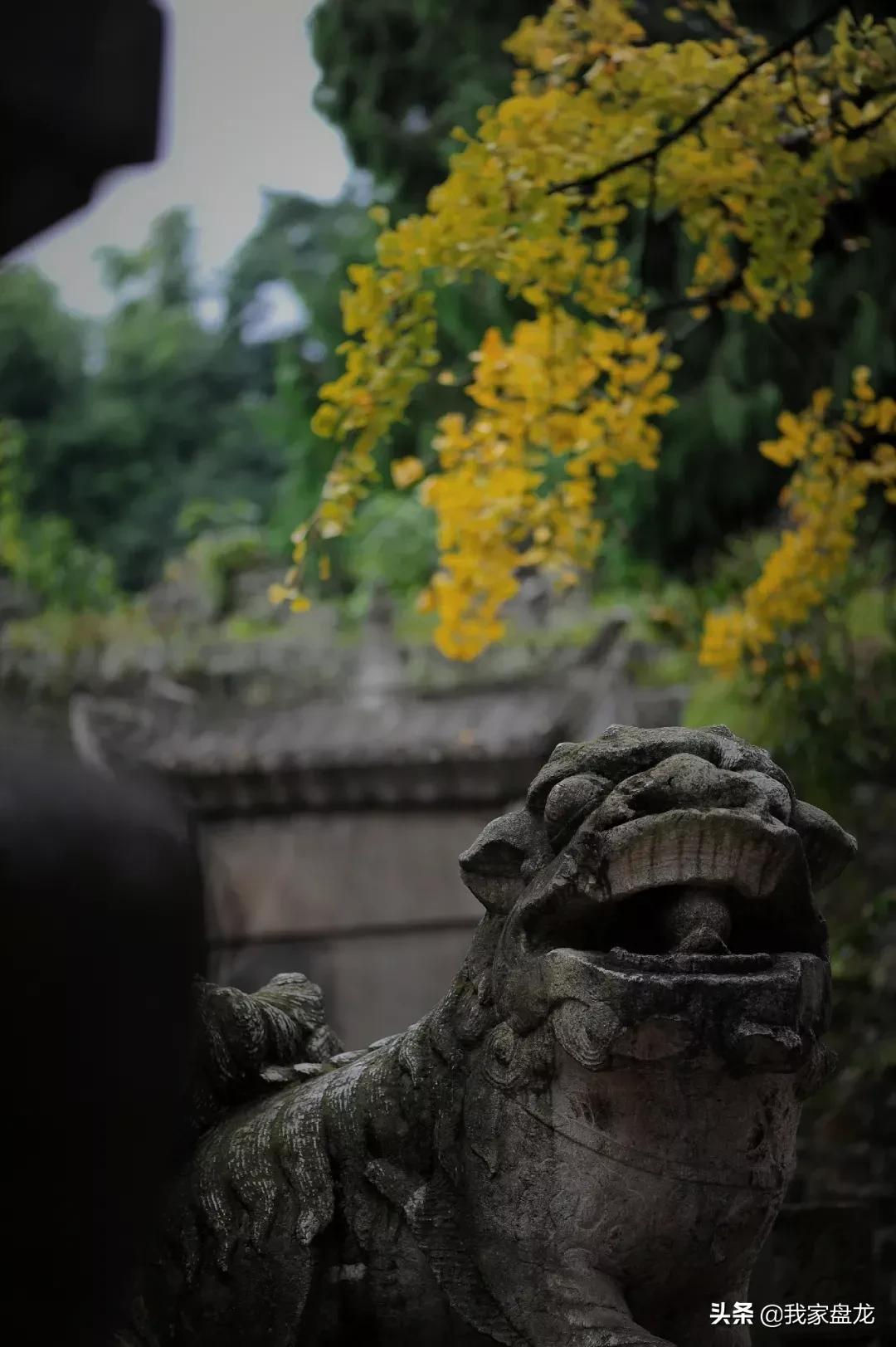 老君山金殿前世今生,金殿的来历简介