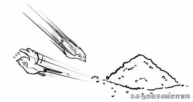 像乌龟一样趴着炒股,像麻雀一样的股票