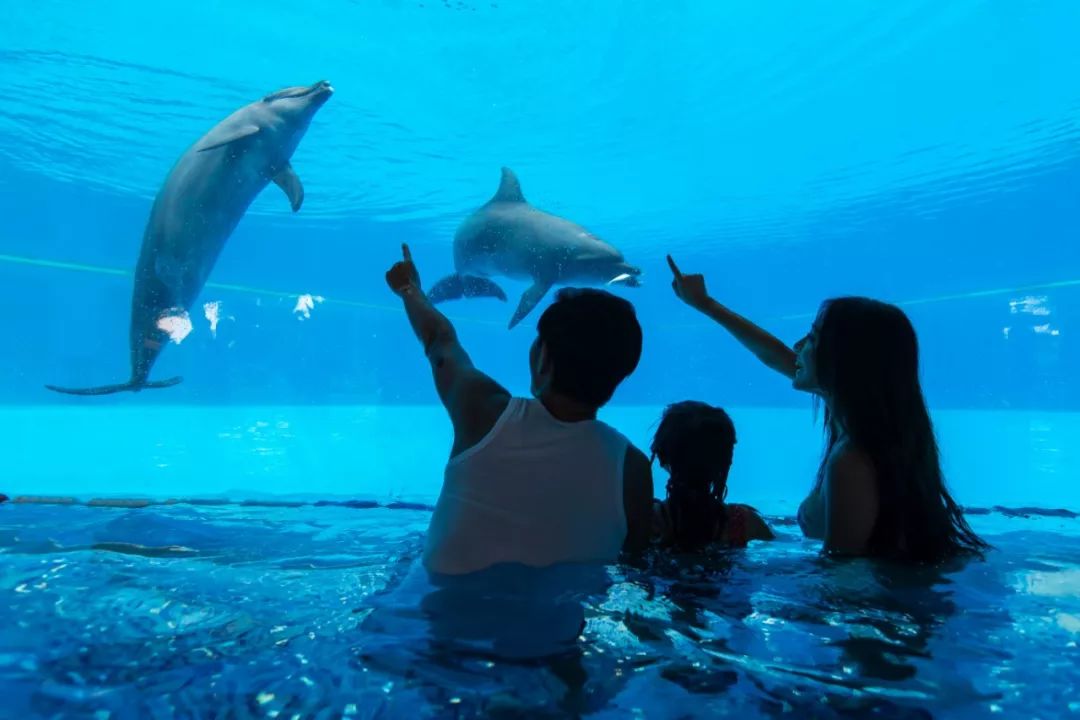 热卖爆款直降1000+，BAT大佬都在抢！双十一最好买的亲子产品是？