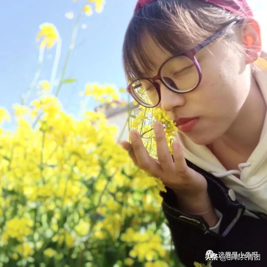 我眼中的世园会,我眼中的园博园作文