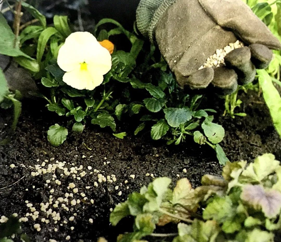 施肥手法,施肥技术和方法