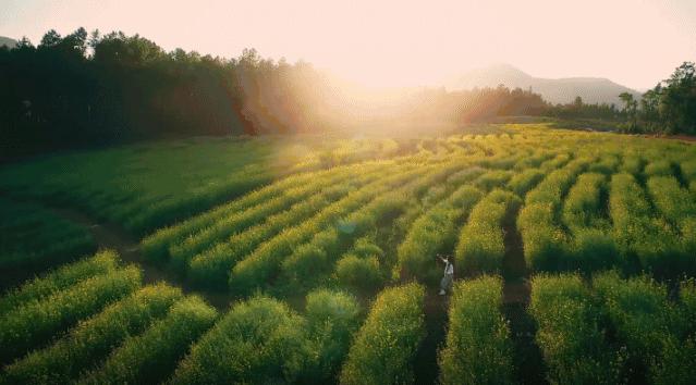 全球公认最好的10款祛痘膏,超好用的一款祛痘膏