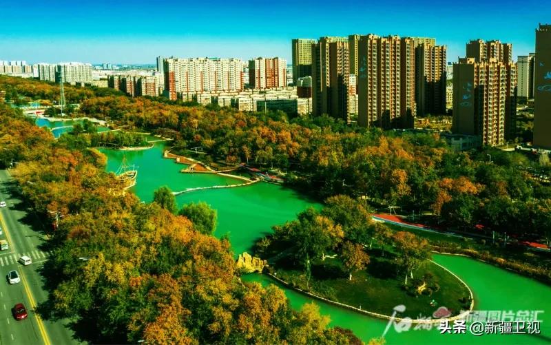 快上车视频全集,快上车完整版视频