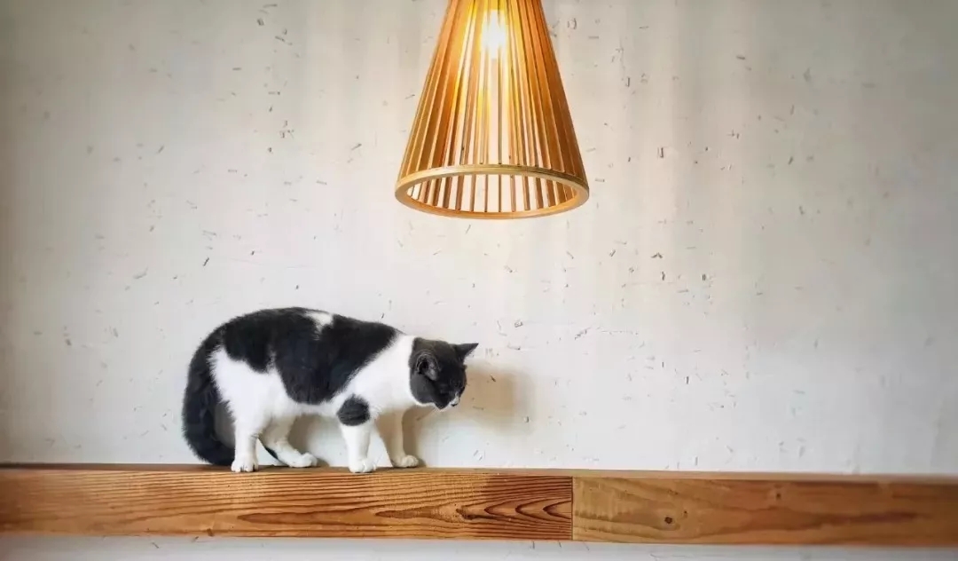 东江湖口碑最好民宿,东江湖景区民宿十大排名