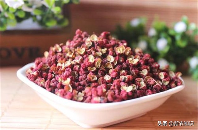 花椒病虫害的生物防治措施学习班,花椒种植管理技术与病虫害