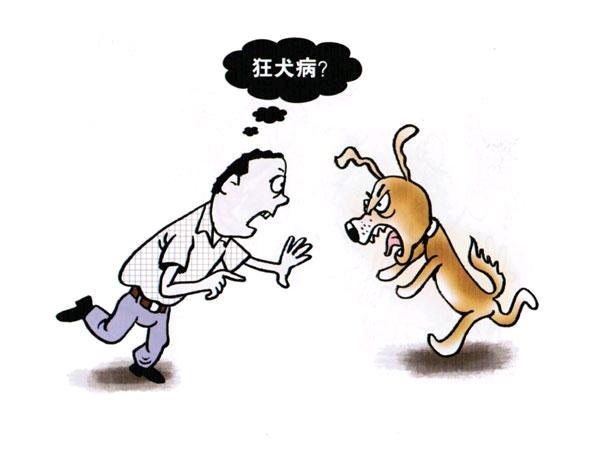 如何正确接种狂犬疫苗看完秒懂,疫苗知识你应该知道