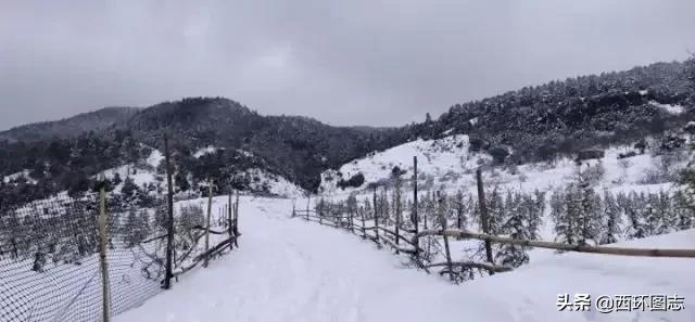 曲靖麒麟区海拔高度是多少,云南曲靖会泽县海拔多少米