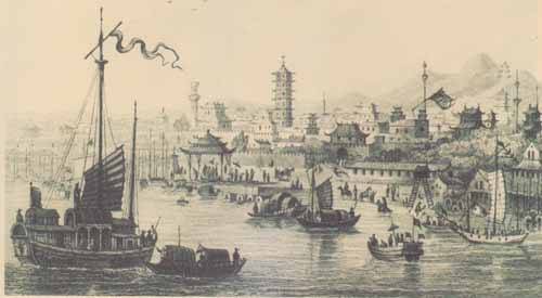 来自异国的“使者”:一片西洋参,一窥近代中美贸易的兴衰