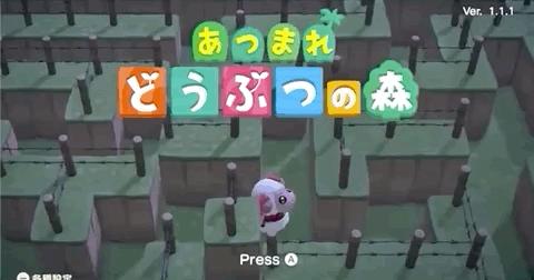 动物之森入门指南,动物之森有哪些注意事项