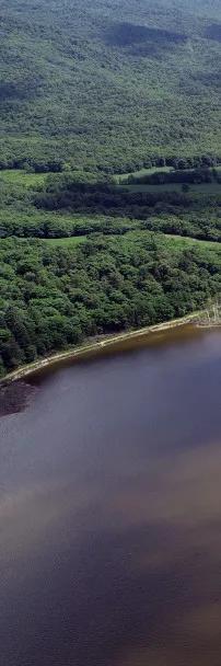 萧红的呼兰河是什么地方,萧红写的呼兰河在哪里