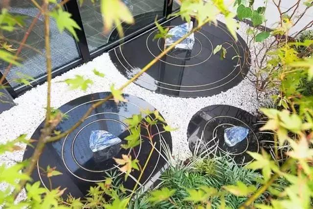 涟漪是哪篇课文,涟漪像什么