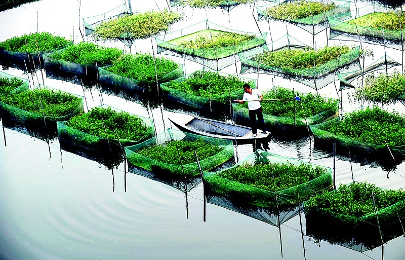 黄鳝疾病防治措施,防治黄鳝疾病用什么药
