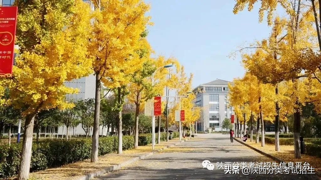 两汉三国,真美汉中|汉中职业技术学院