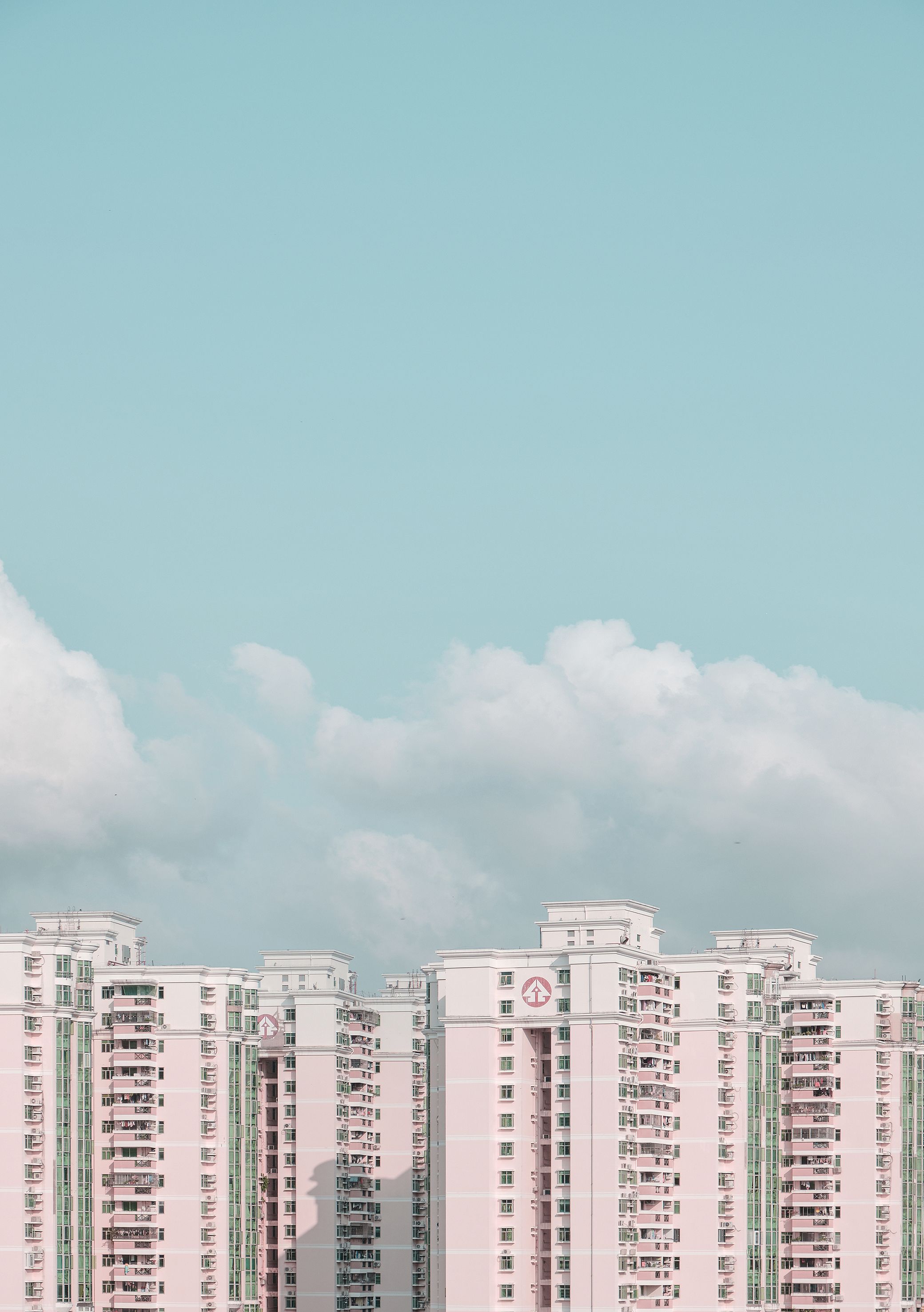 2020入门相机,2020年的相机图片