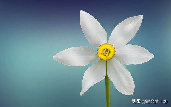 经典作文素材100字,经典作文素材集锦21-30则