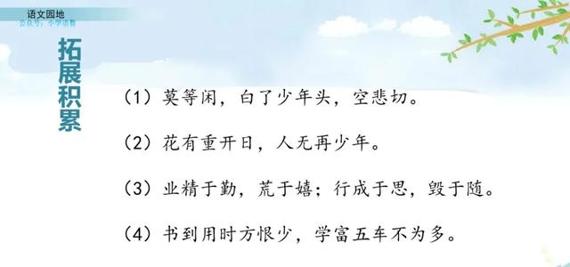 部编版四年级语文园地八知识梳理,部编版四年级下册语文园地八讲解