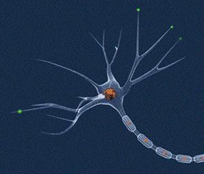 心因性发热是什么意思,心发热是什么原因造成的