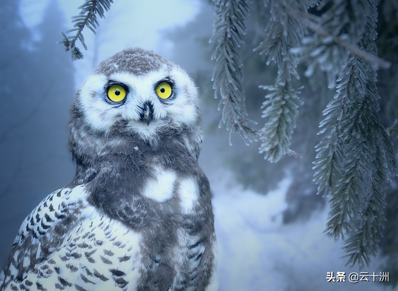 锦绣灰：少年独自在山里，见到神秘女孩匪夷所思的行为