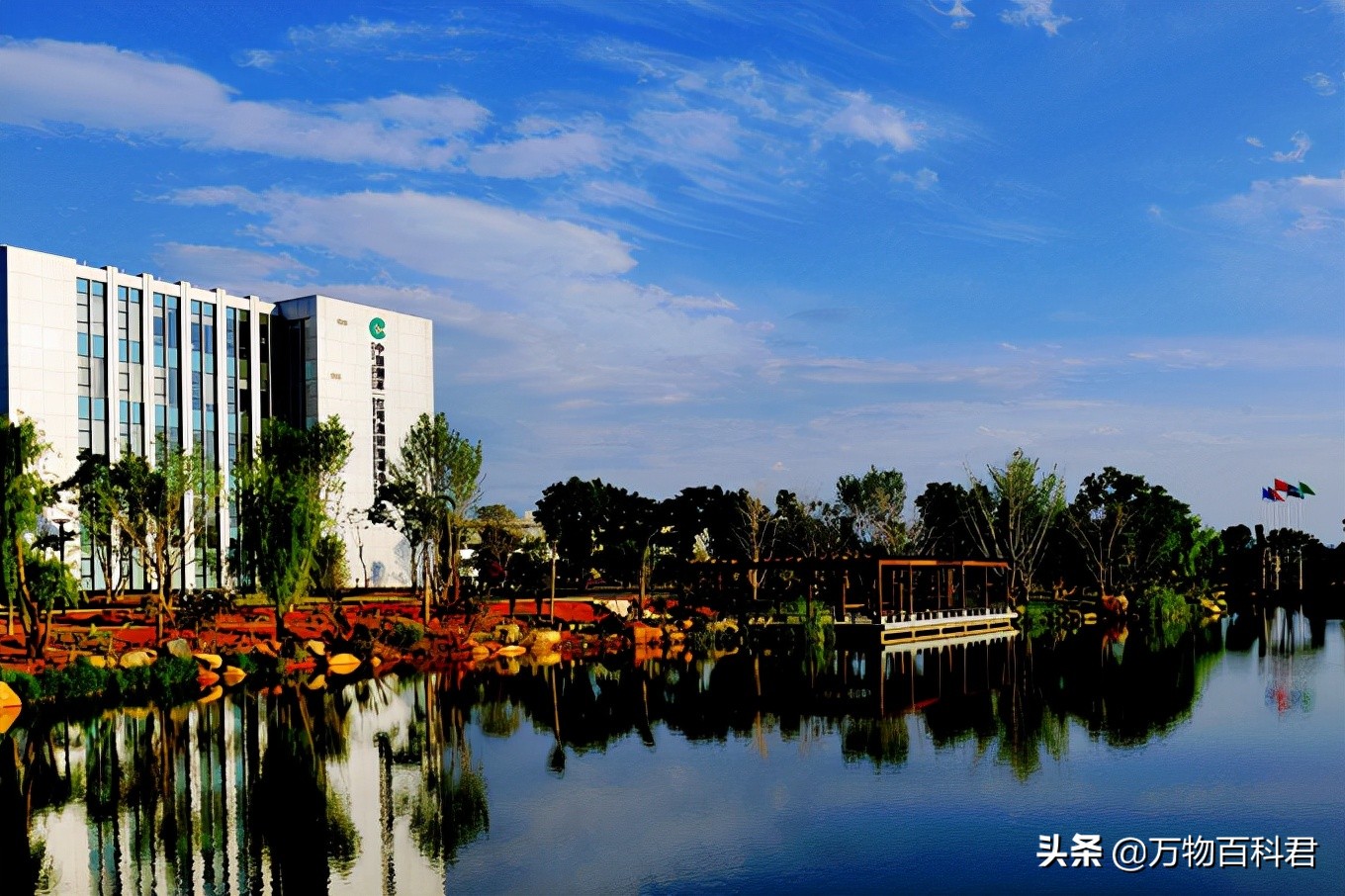 中国卷烟厂收入排名,中国各地卷烟厂销售额排名