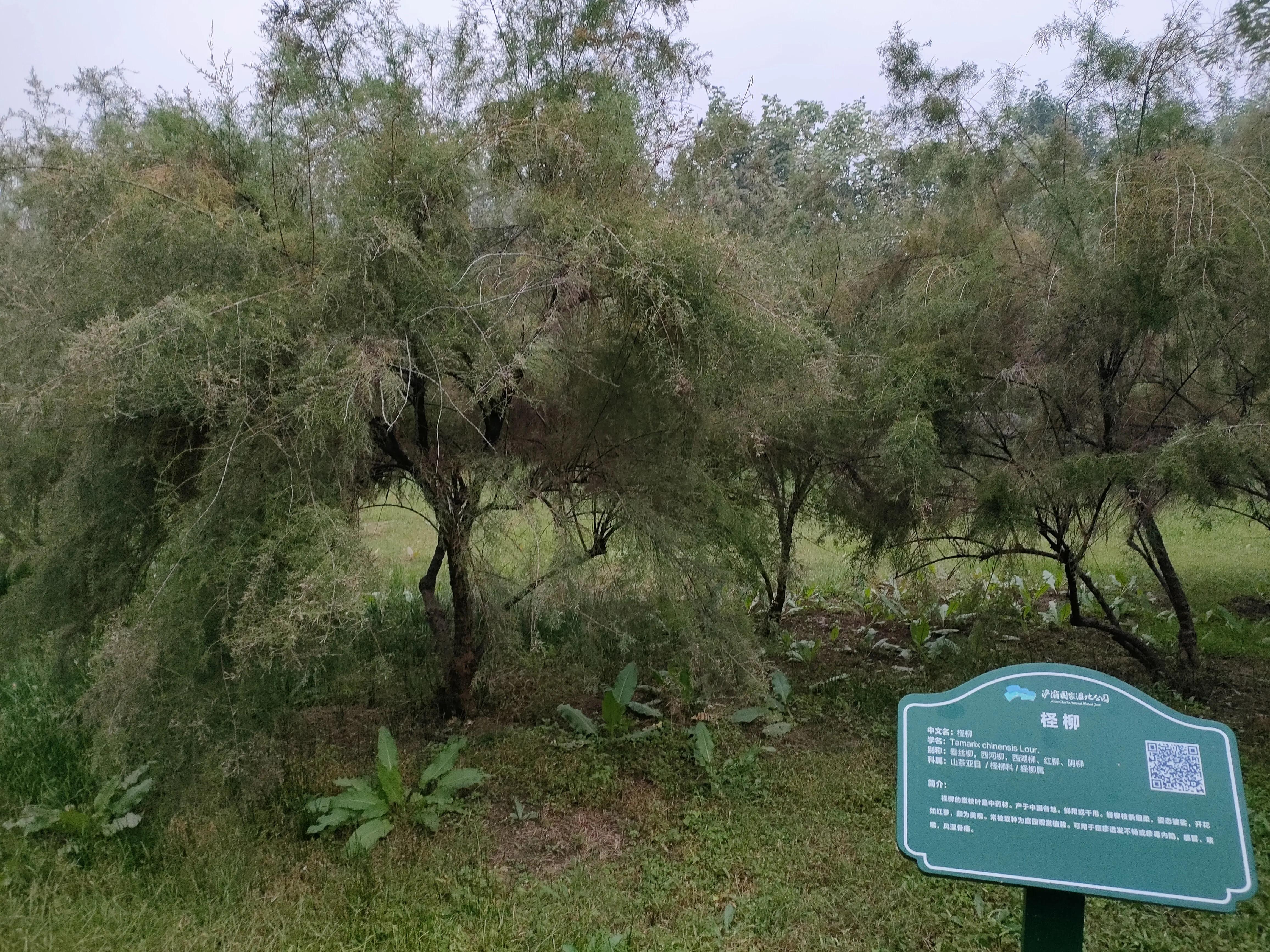 游西安曲江海洋极地公园,国庆去西安海洋极地公园