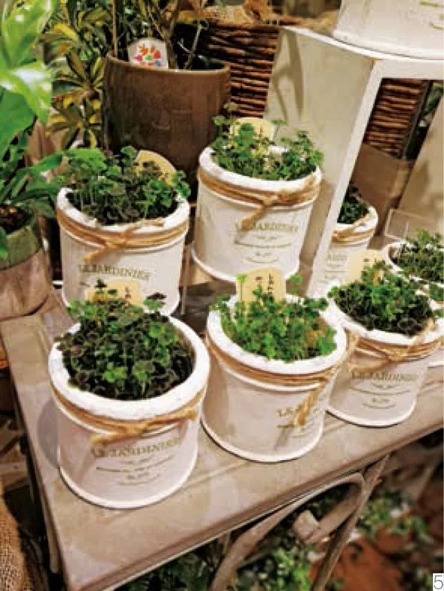 走进日本百年花店——日比谷花坛