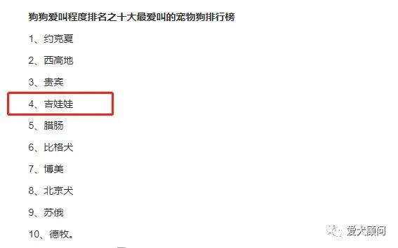 狗狗扰民被投诉怎么办？别慌！赶快学习这几种方法！