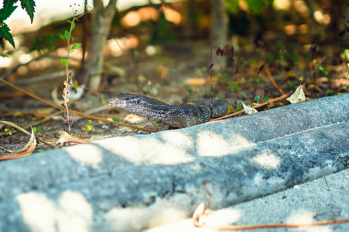 在海洋上与世隔绝的小岛,到大海里面就找一个小岛去生活