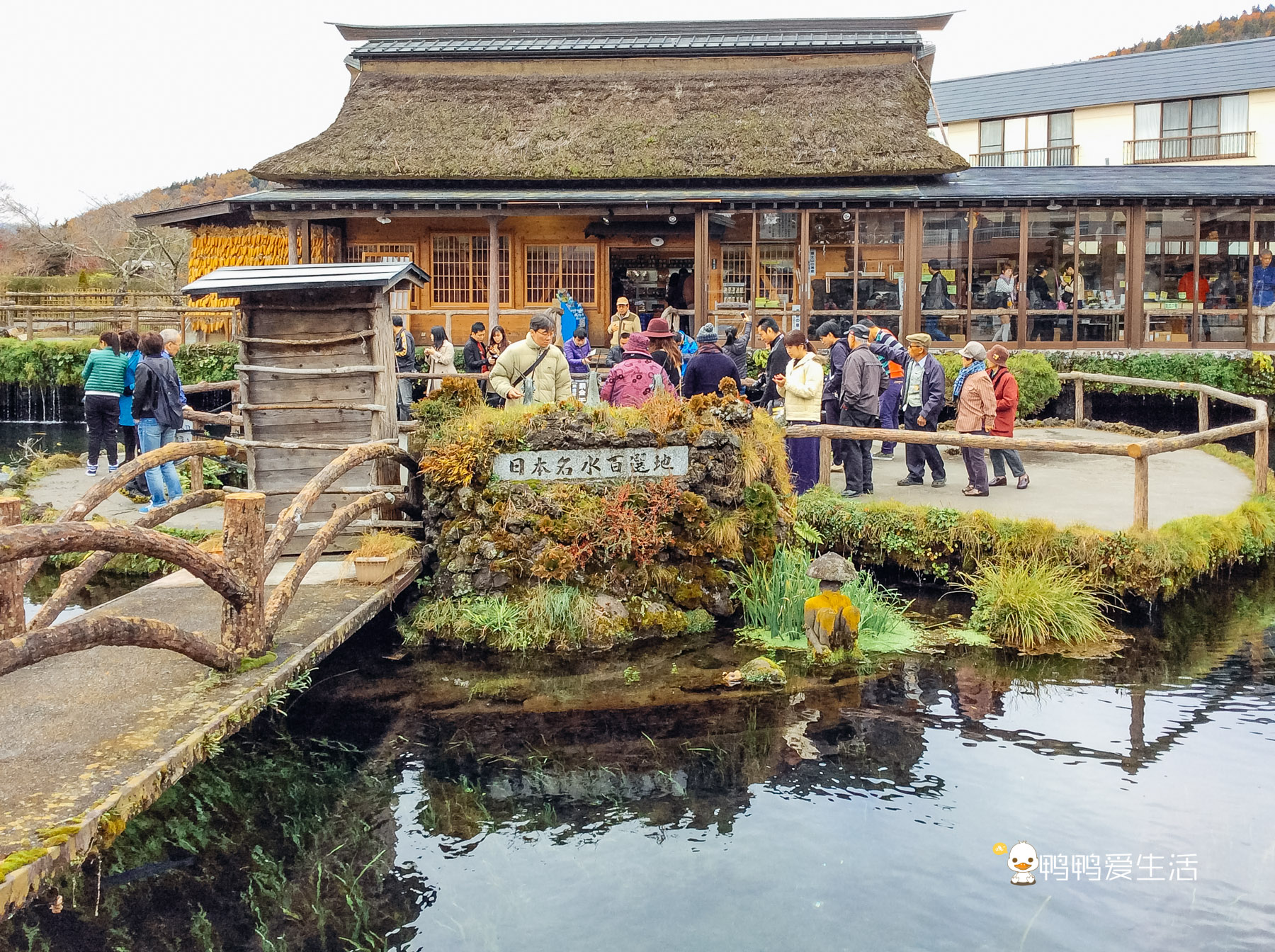日本“小九寨”藏在富士山下，5月起繁花盛开，还能把泉水带回家