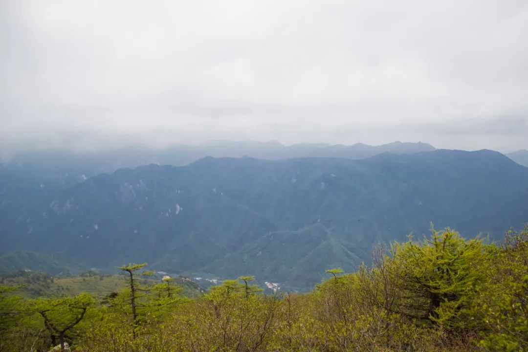 秦岭光头山至鹿角梁穿越路线,秦岭西观音山徒步登山路线攻略