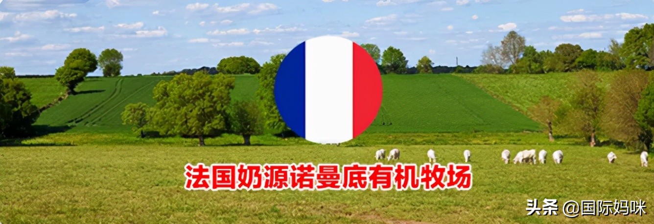 法国达能佳丽雅奶粉怎么样,法国佳丽雅奶粉老爸评测