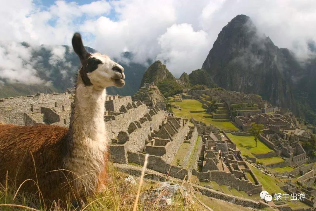 墨西哥廉价航空,墨西哥航空波音777