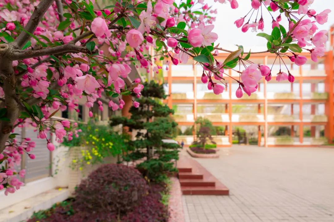 南京比较好的小学学校排名,南京名校小学最新排名