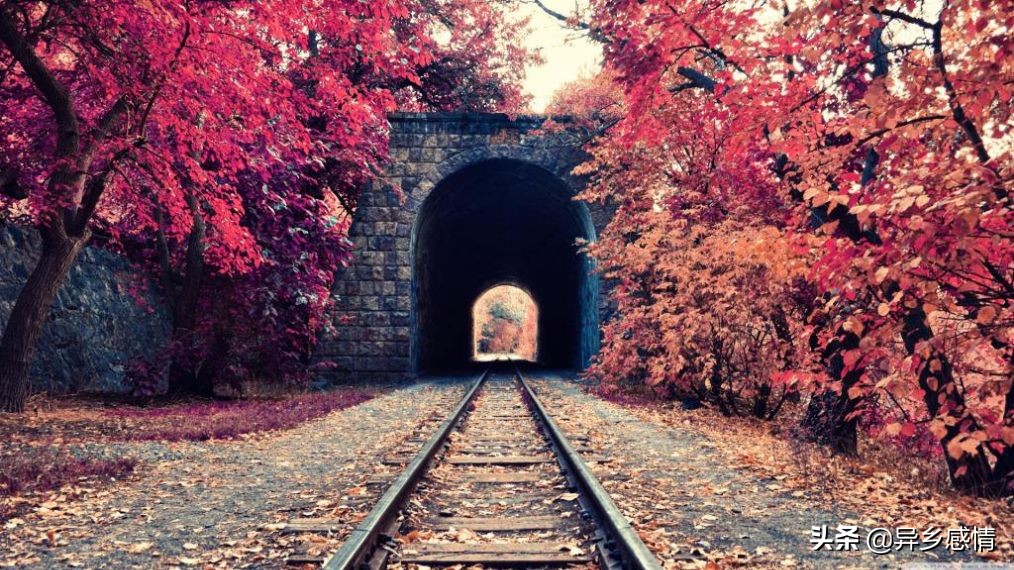 哪有岁月静好只是冷暖自知的文案,岁月静好冷暖自知是我最大的感悟