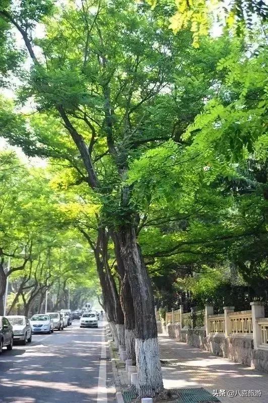 青岛最出名的吃的和玩的地方 (青岛好吃好玩的地方排行榜前十名)