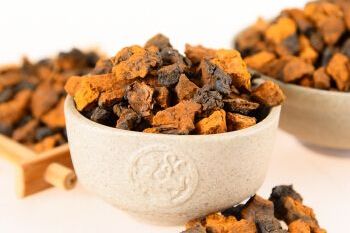 白桦茸与桦褐孔菌的区别,桦褐孔菌提取物护肤功效