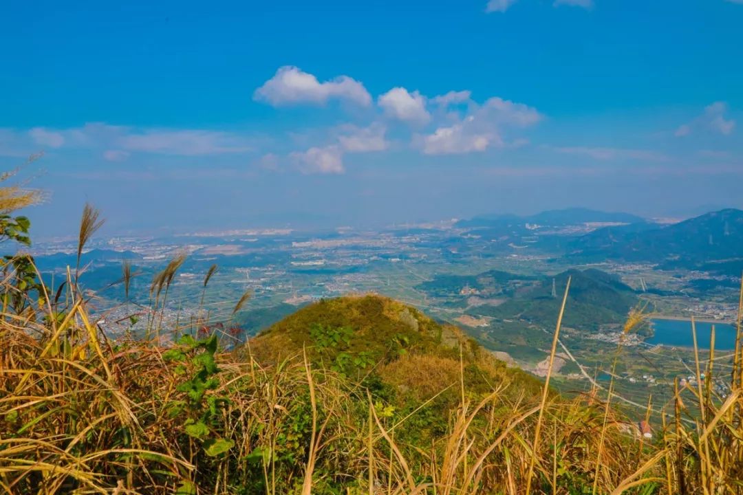 北仑凤凰山森林步道从哪里开始,北仑十大免费景区八大坑森林步道