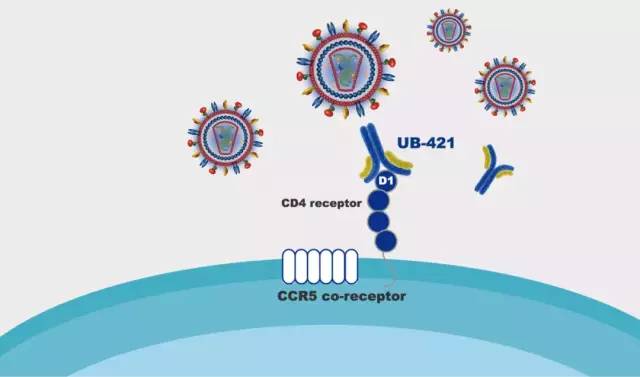 什么药可以抑制hiv病毒,免疫系统对抗hiv