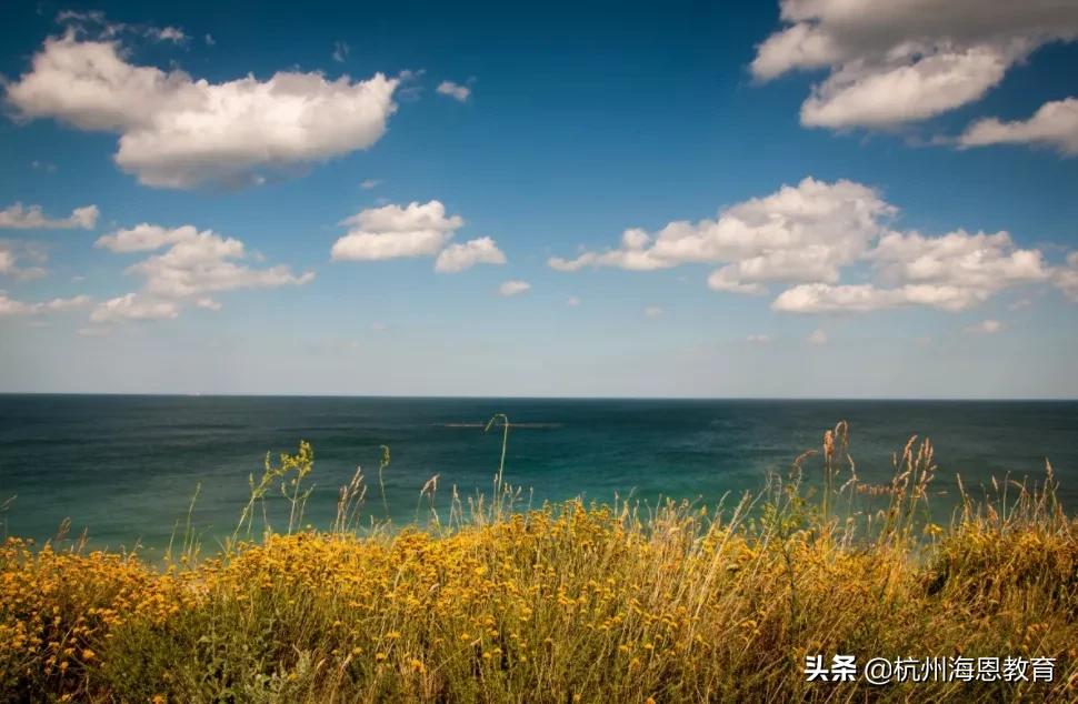 亲子关系疏远的真相,亲子之间的冷漠与关怀