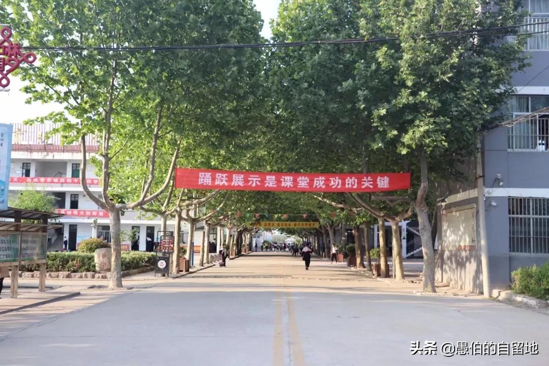 丰县欢口镇育英中学四季照片,丰县欢口育英中学