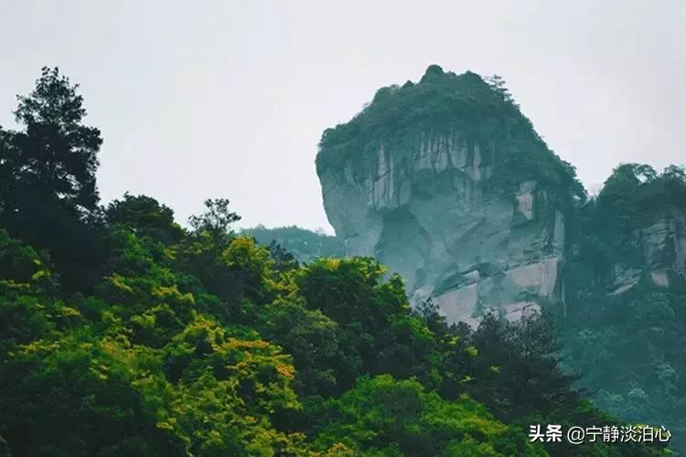 桂花是秋天的灵魂,桂花香是秋天的微醺感