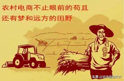 农村电商搭建综合服务平台,农村电商服务站如何聚集人气