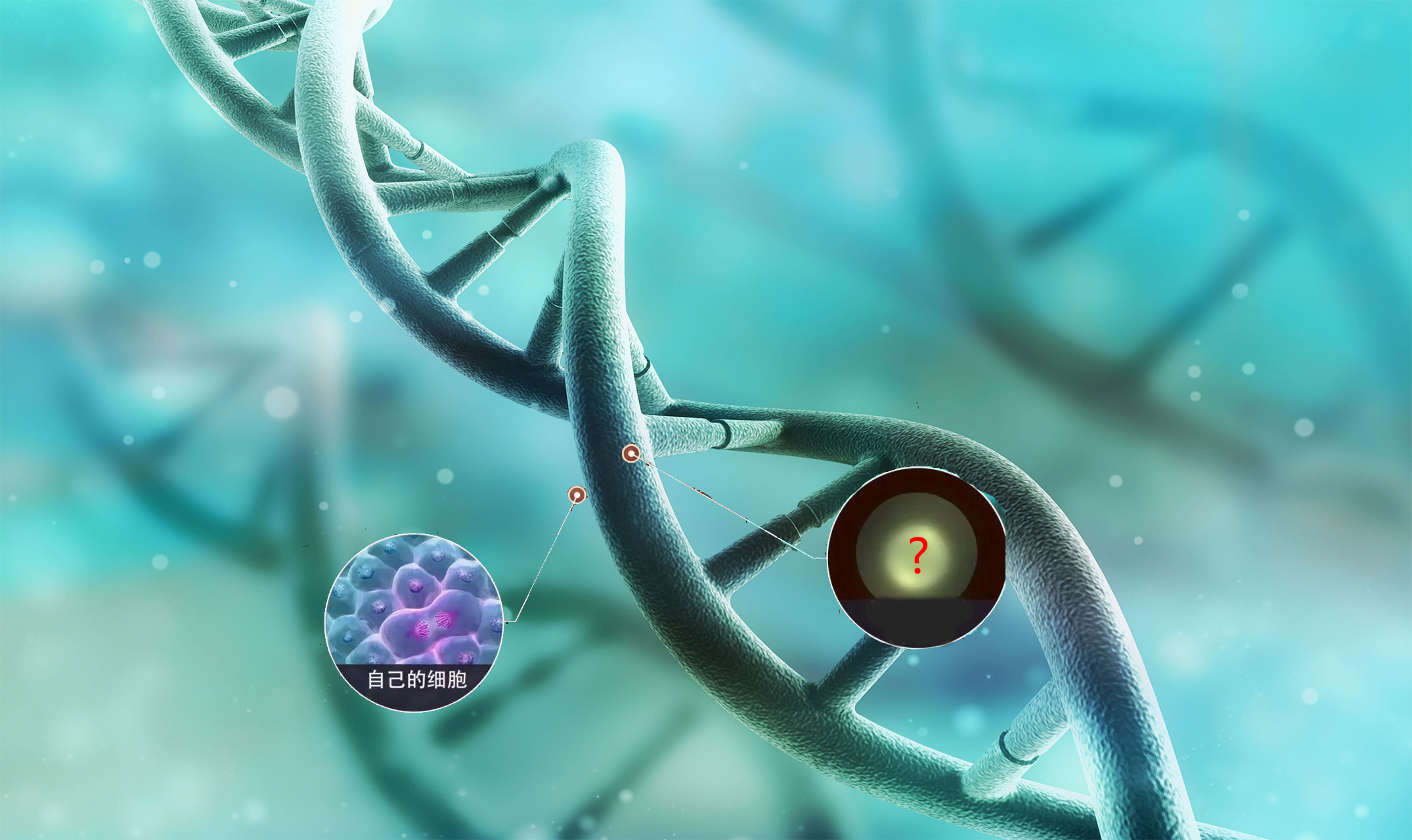 奇美拉现象,奇美拉嵌合体人现象