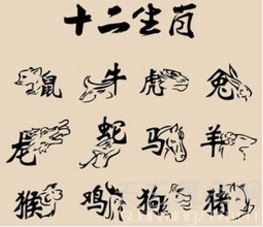 十二生肖中阴肖指的是哪几肖,十二生肖有哪一肖是翘脚的