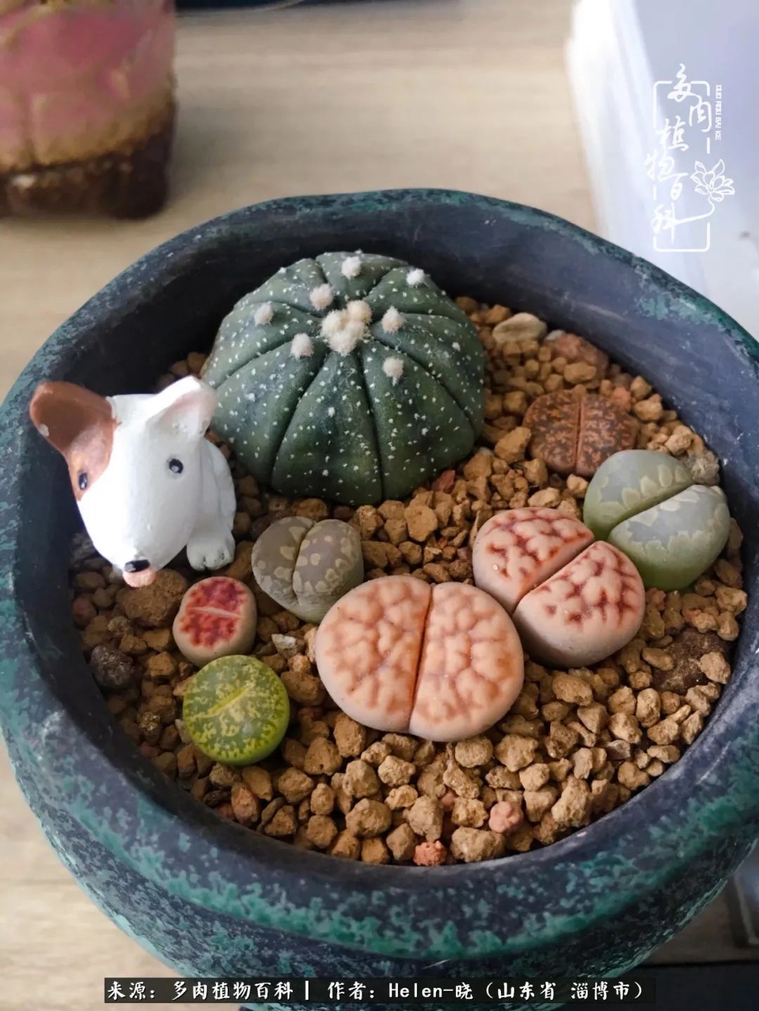 人到中年温暖如初,人到中年岁月静好