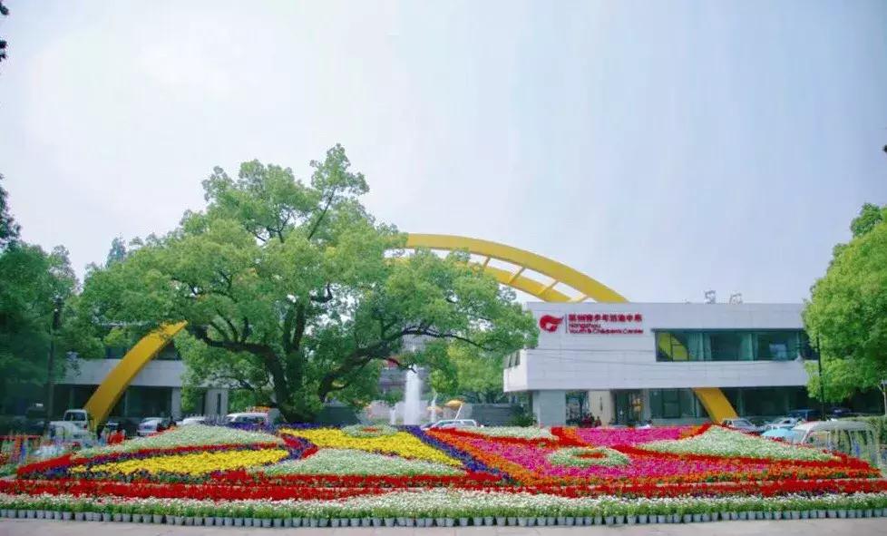 杭州青少年活动中心春季招生,杭州青少年活动中心暑期班报名