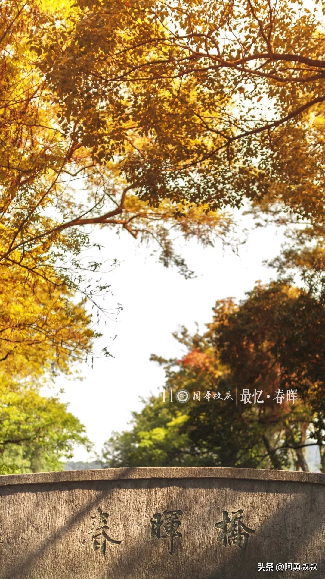 浙江春晖中学好还是柯桥中学好,上虞春晖中学全国排名第几名