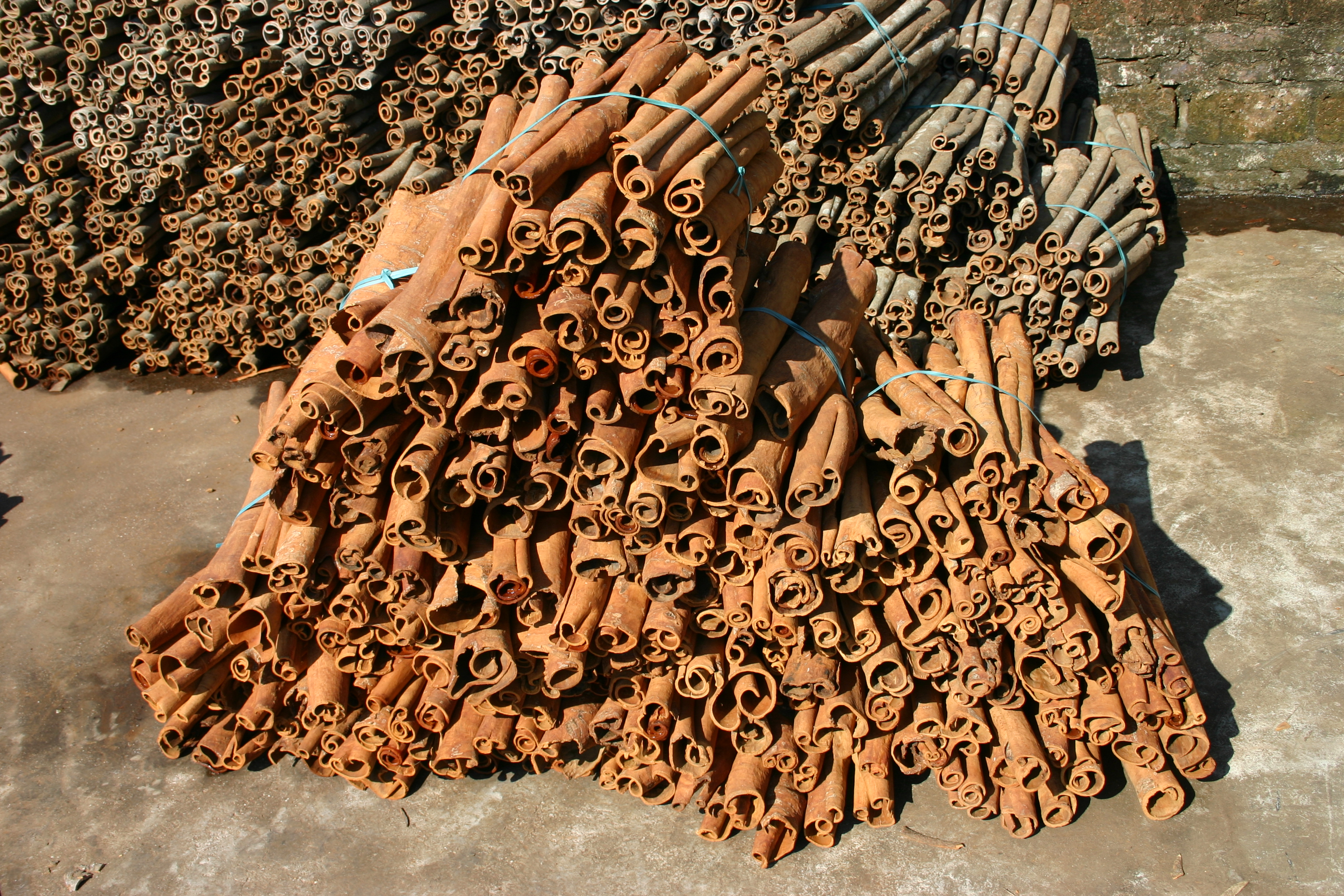 广西特色香料资源与产业现状