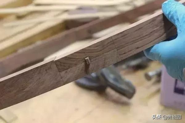 鱼鳔胶和猪皮胶哪个好,怎么区别鱼鳔胶的真假